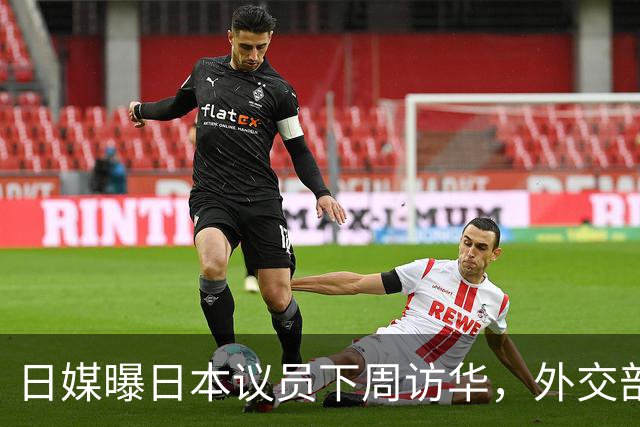 日媒曝日本议员下周访华，外交部回应引人深思