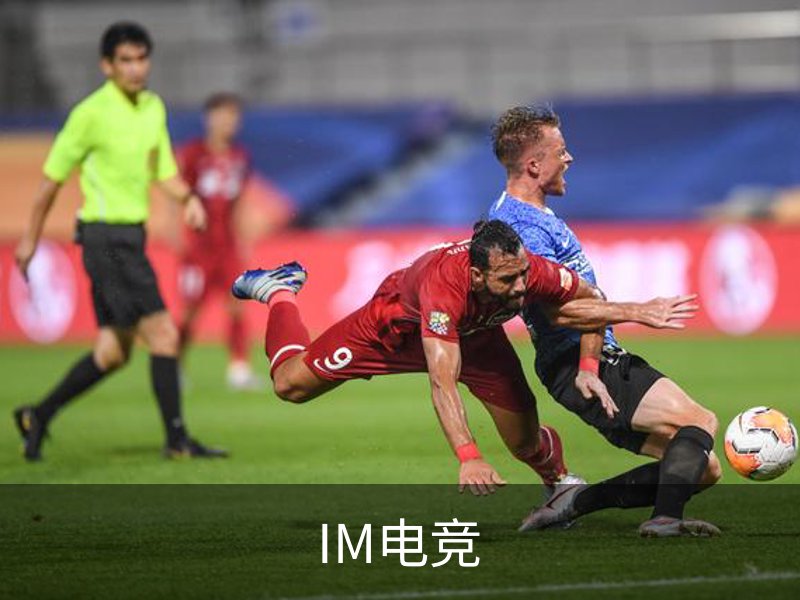 IM电竞介绍
